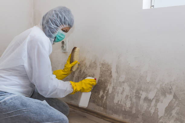 Best Mold Testing  in Seven Hills, OH