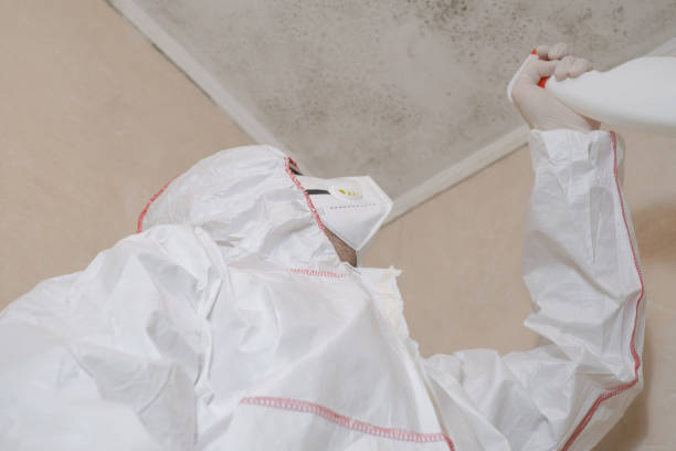 Best Emergency Mold Removal  in Seven Hills, OH